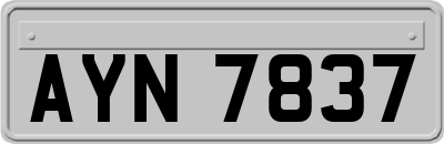 AYN7837