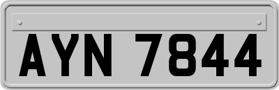 AYN7844