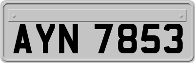 AYN7853