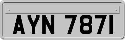 AYN7871