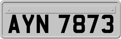 AYN7873
