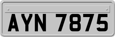 AYN7875