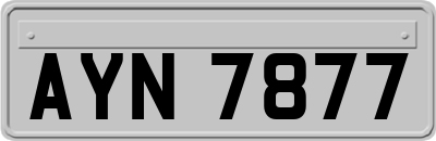 AYN7877