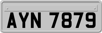 AYN7879