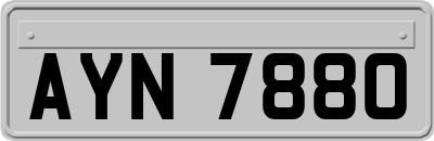 AYN7880