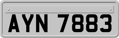 AYN7883