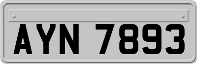 AYN7893