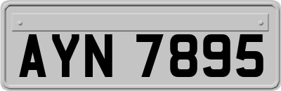 AYN7895