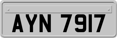 AYN7917