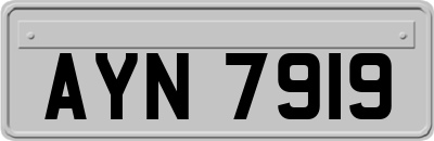 AYN7919