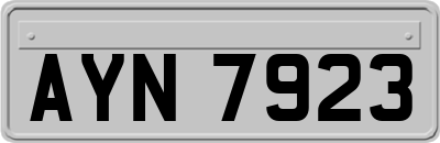 AYN7923
