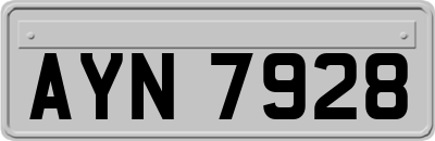 AYN7928