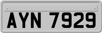 AYN7929