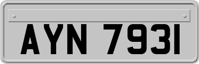 AYN7931