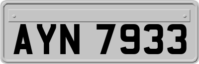 AYN7933