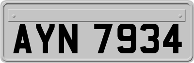 AYN7934