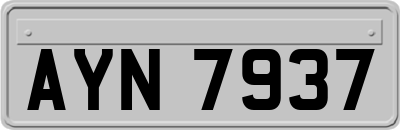 AYN7937