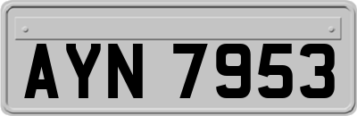 AYN7953