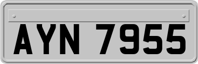 AYN7955