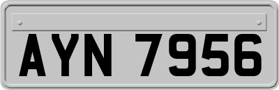 AYN7956