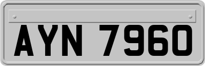 AYN7960