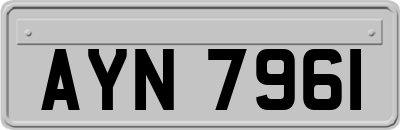 AYN7961