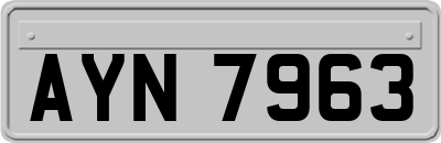 AYN7963