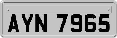 AYN7965