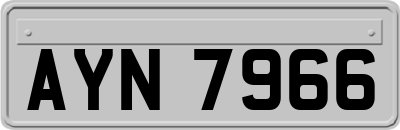 AYN7966