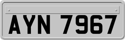 AYN7967