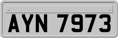 AYN7973