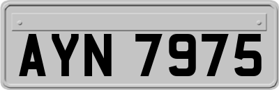AYN7975