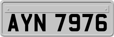 AYN7976