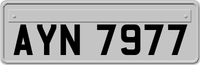 AYN7977