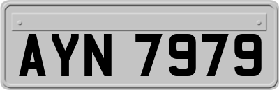 AYN7979