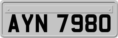 AYN7980