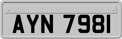 AYN7981