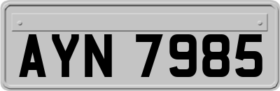 AYN7985