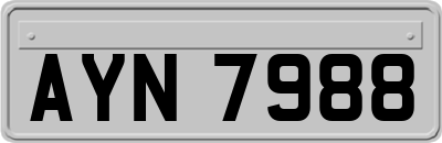 AYN7988
