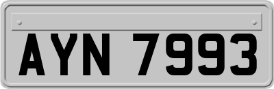 AYN7993