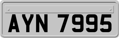 AYN7995