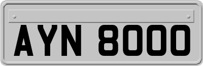 AYN8000
