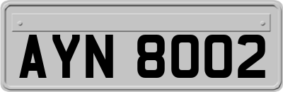 AYN8002