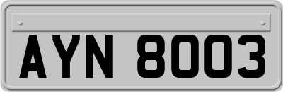 AYN8003