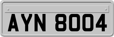 AYN8004
