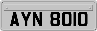 AYN8010