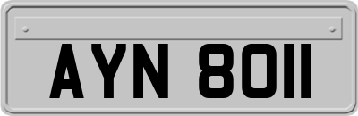 AYN8011