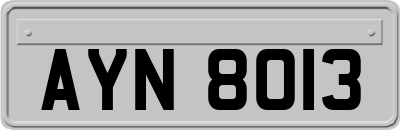 AYN8013