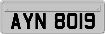 AYN8019