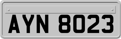 AYN8023